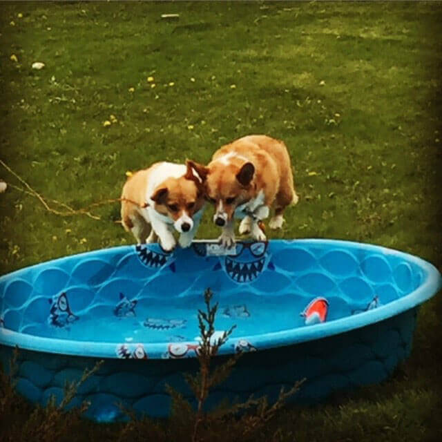 Bengie With His Friend In The Pool