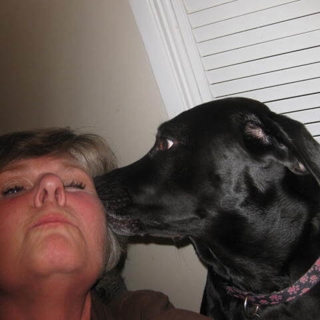black lab giving its female owner a kiss on the cheek