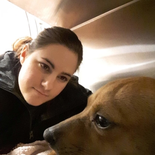 woman looking at a small brown dog