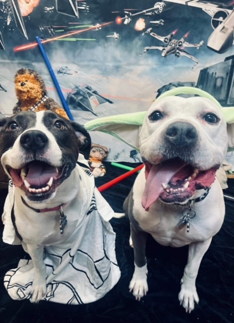 Pebbles Cuyahoga Falls, Ohio