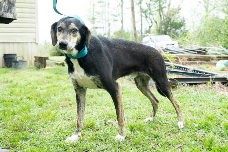 Ram Corinth, Mississippi