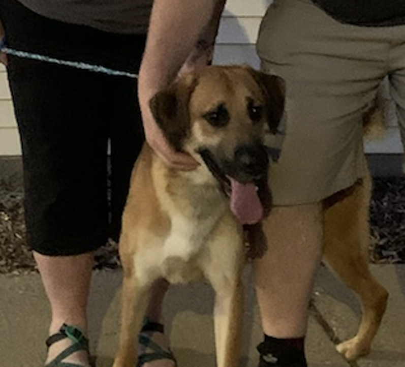 Tennessee Dyersburg, Tennessee