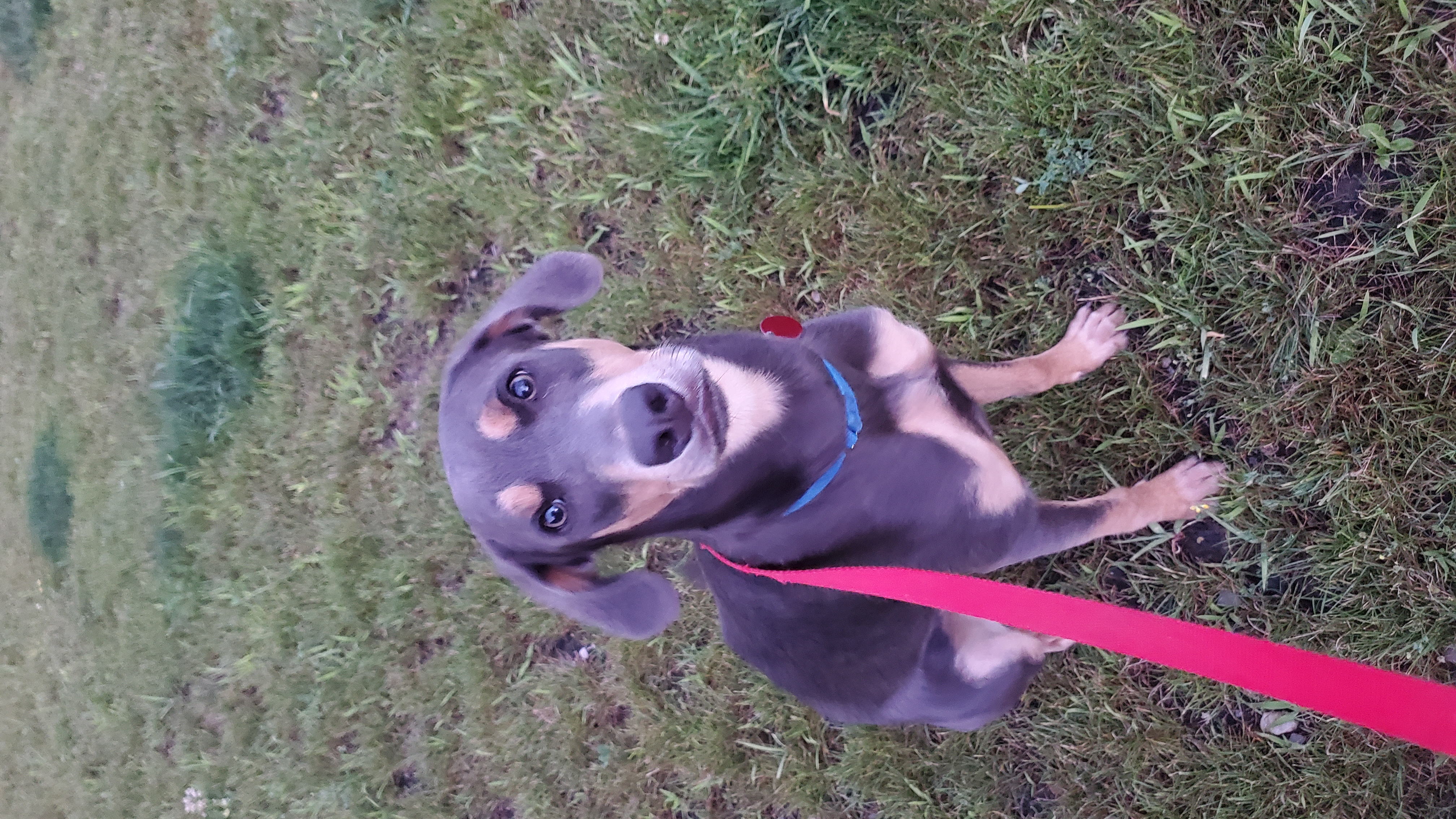 Angel Columbia Station, OH