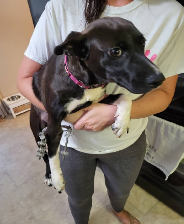 Beckley Louisville, KY