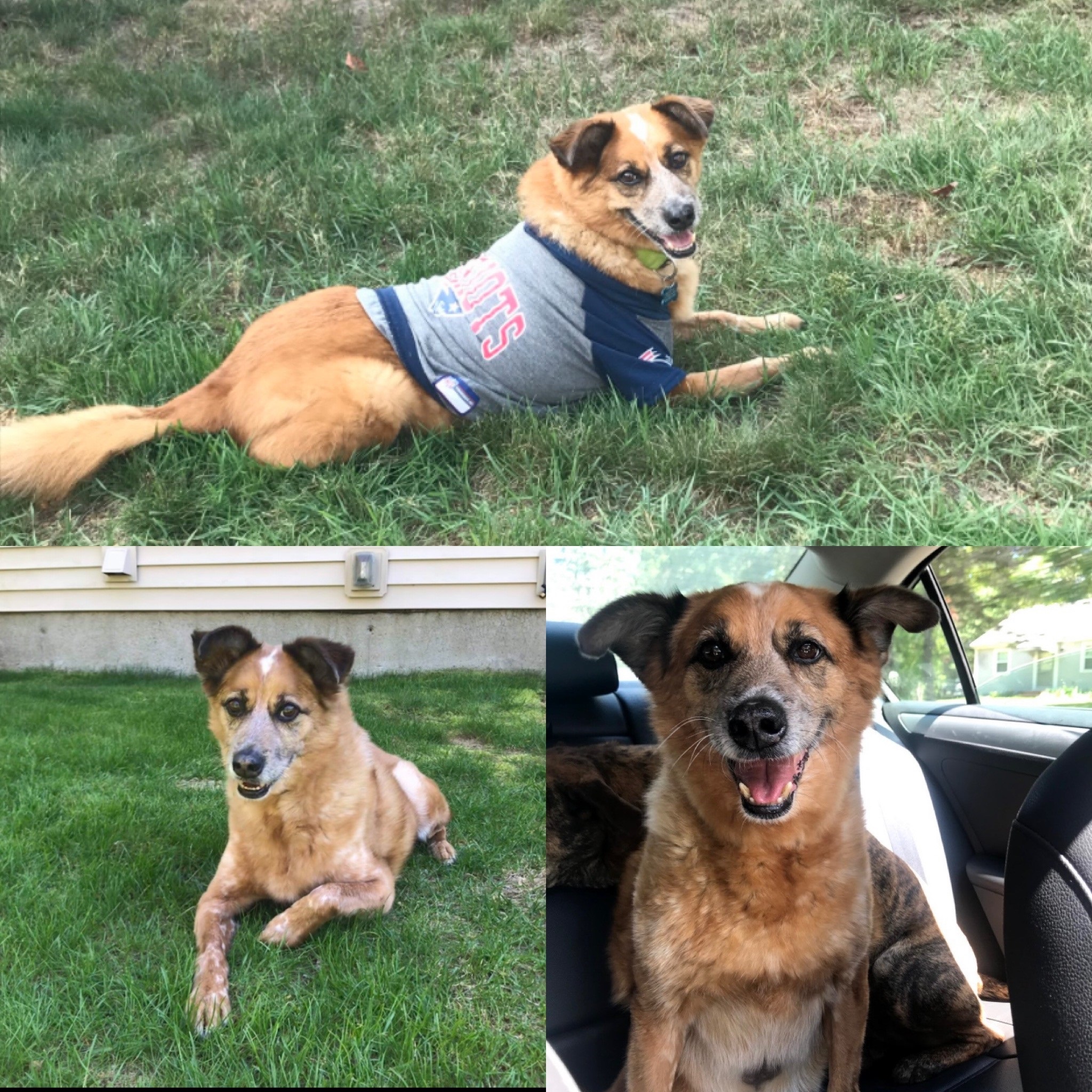 Chester Plymouth, MA