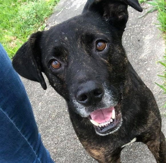 Maverick Houston, TX