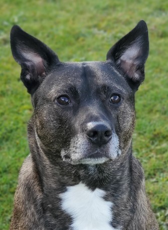 Cassius Silverdale, WA