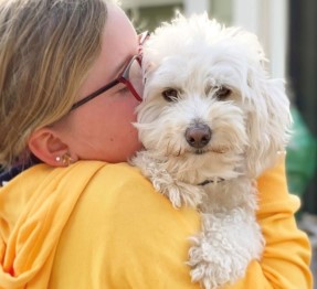 Tika 5 year old Bichon Poodle from Richmond, CA