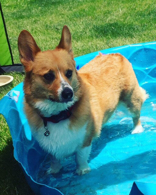 Bengie In The Pool