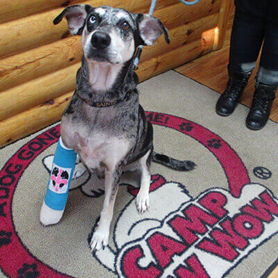 Gypsy Second Chance at Life