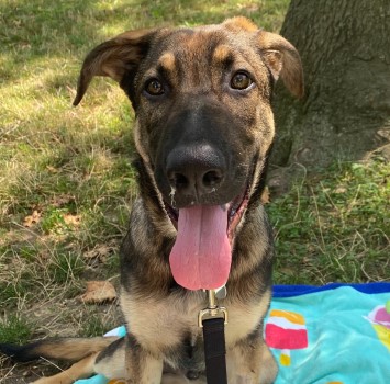 Hans, Stefan, and Gisela 