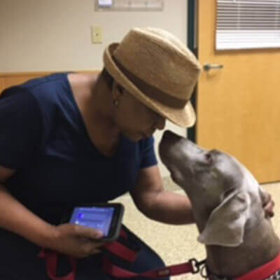 Logan Foster to Fur-ever