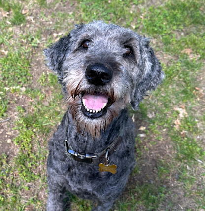 Luna North Dighton, MA