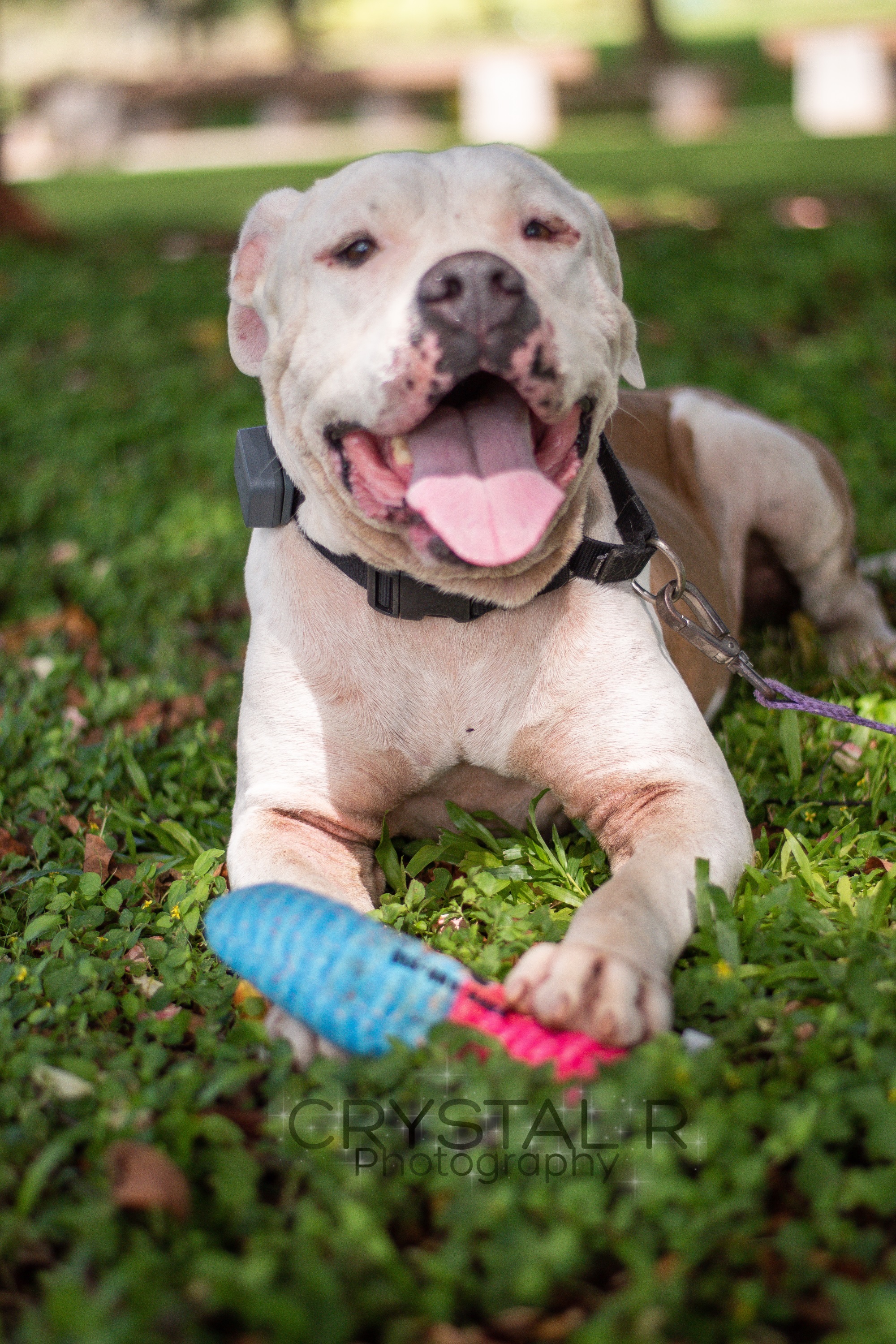 Maka Kapolei, Hawaii