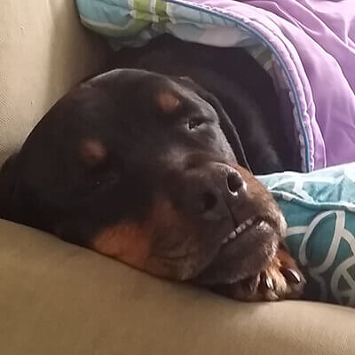 Maximus Happy and Healthy Again!