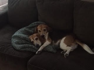 May “She is doing great. She has a new lease on life. We are all so grateful and thankful. We love her dearly and are incredibly grateful.”