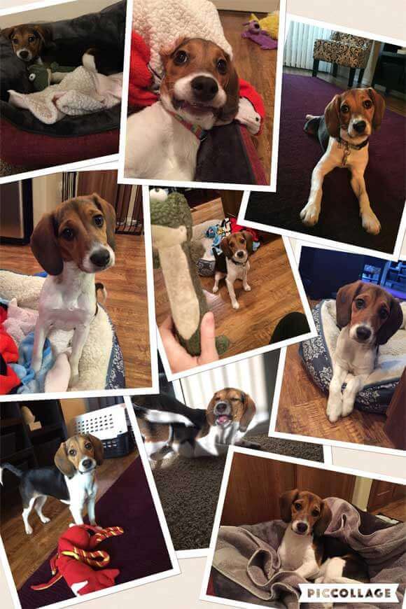 A Collage Of Pictures Of Nora