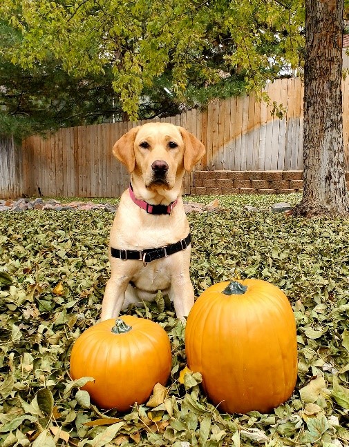 Penny “Penny is continuing to grow and is just as healthy as can be!! She is my ride or die and can't imagine her not being with me.” -Gloria, Penny’s Mom