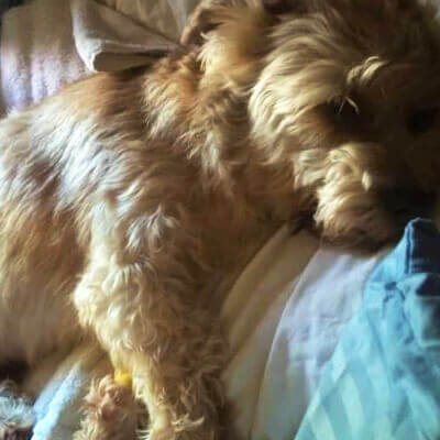 Rosco Can't Wait to Play