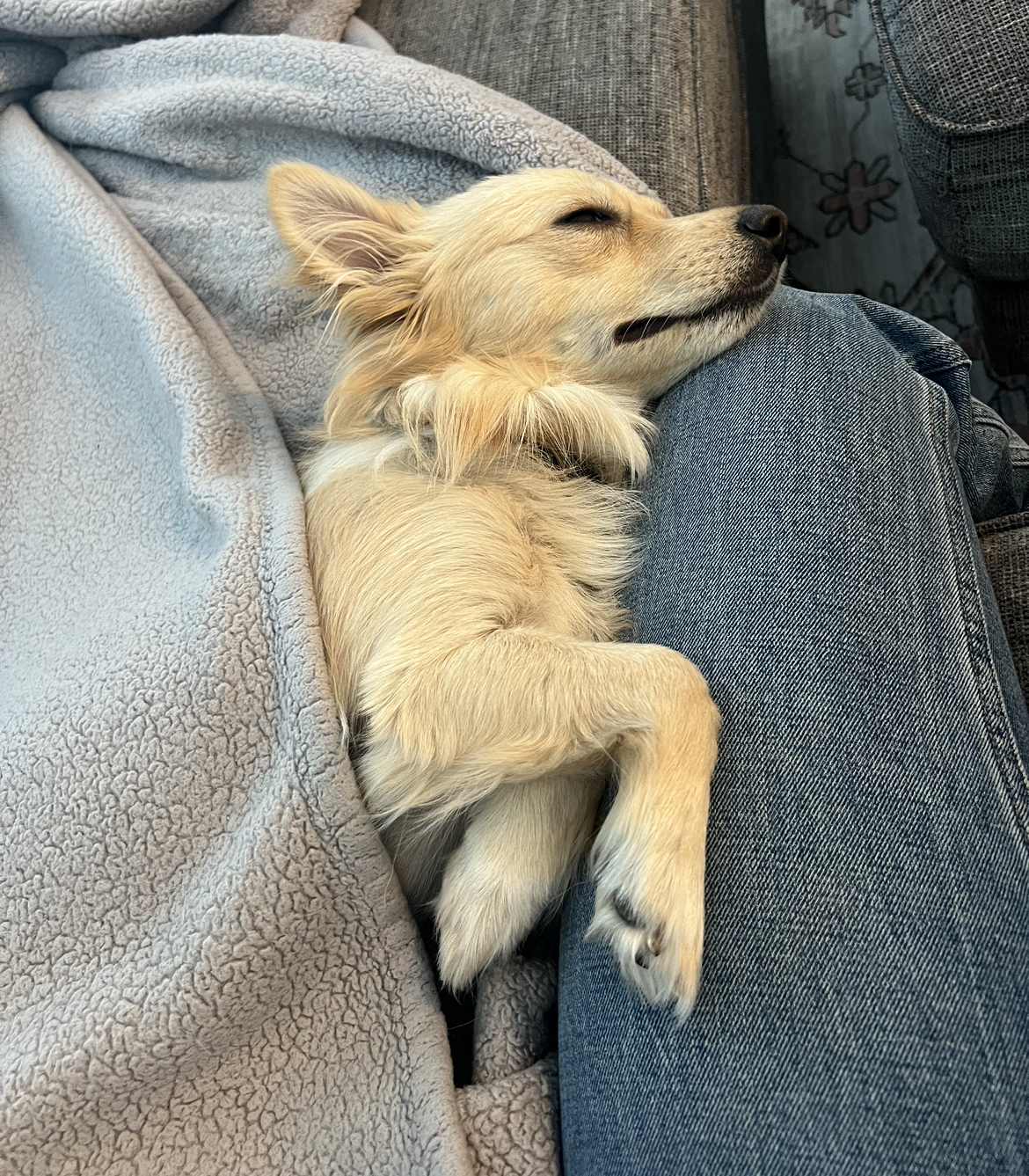 Sanji Las Vegas, Nevada