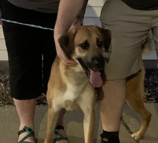 Tennessee Dyersburg, Tennessee