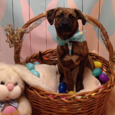 Addy Back to Being a Happy Camper!