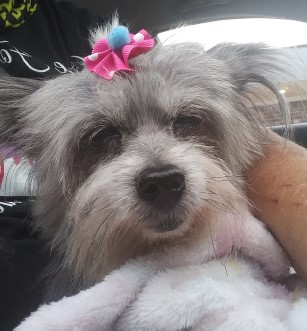 Baby Baby is doing great & starting to run around again, her personality is showing again