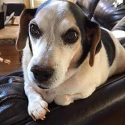 Baylor Smiling again!