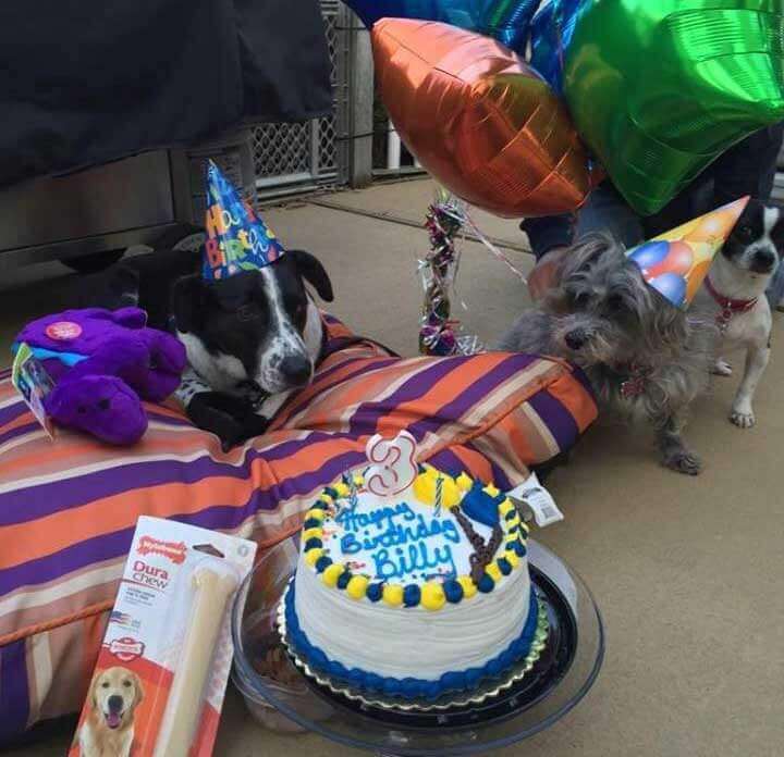 Photo of Billy sharing his birthday cake