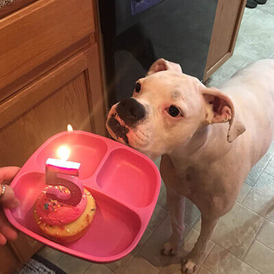 Clover New 'Leash' on Life