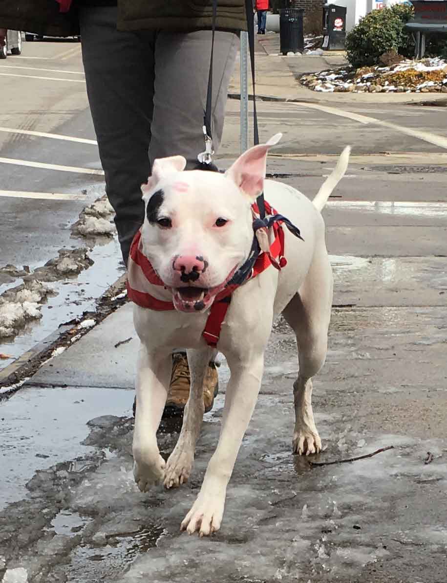 John Going On A Walk