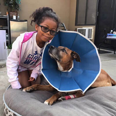 Max Reporting for Cuddle Buddy Duty!