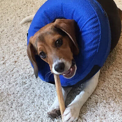 Nora Healthy and Happy Heart