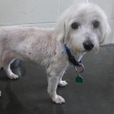 Snowen Given a Second Chance