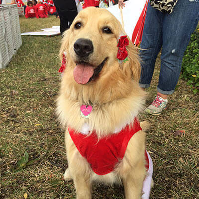 Truly New 'Leash' on Life