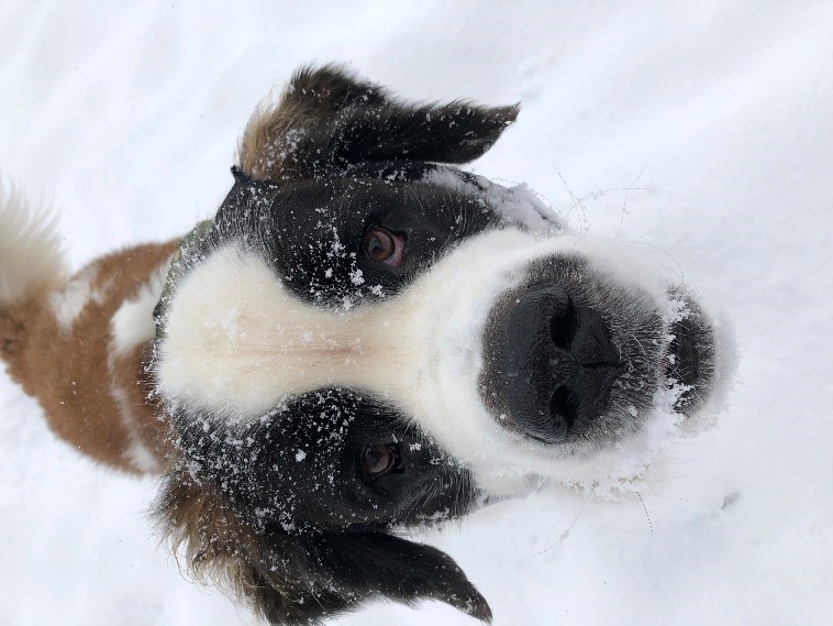 Zoey Zoey is doing incredible.